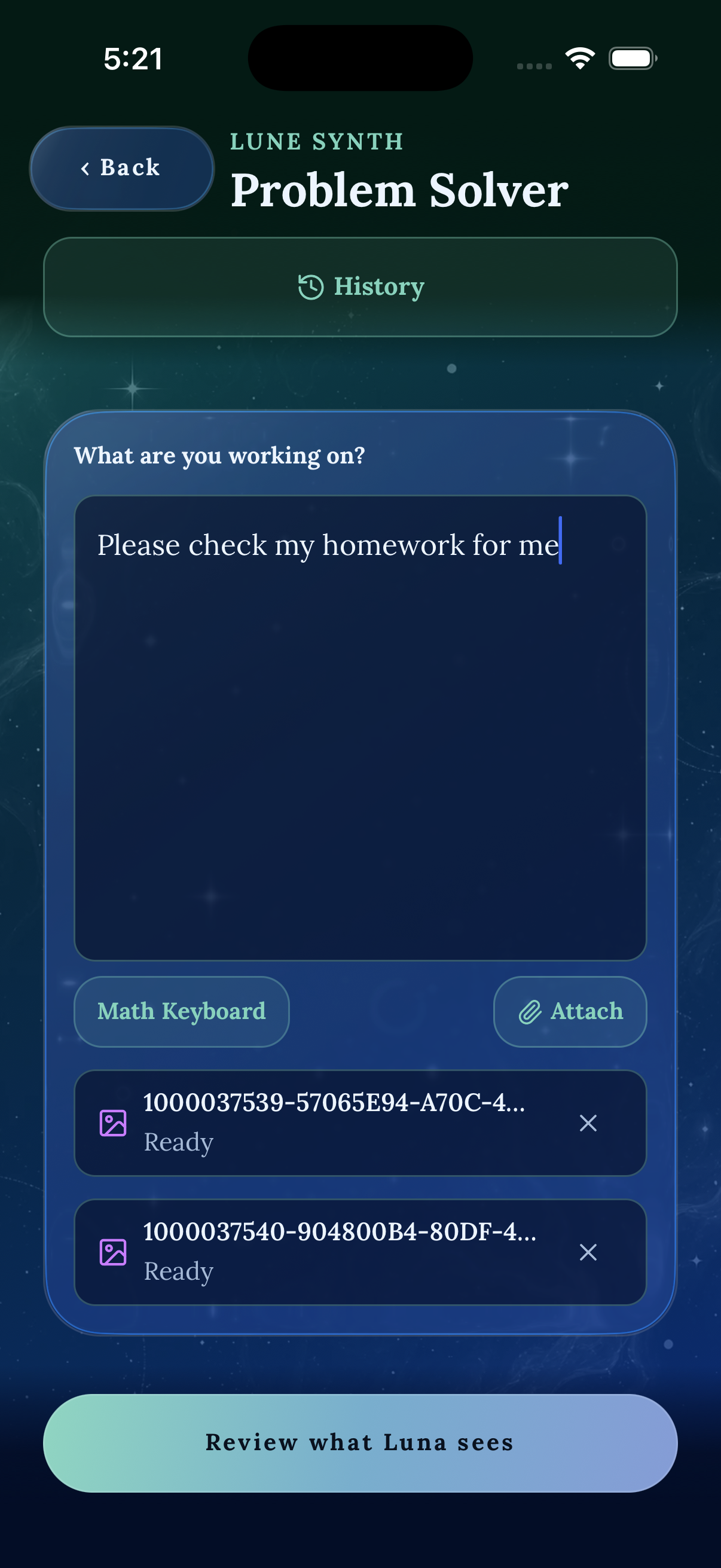 Problem Solver input screen for adding a question or assignment