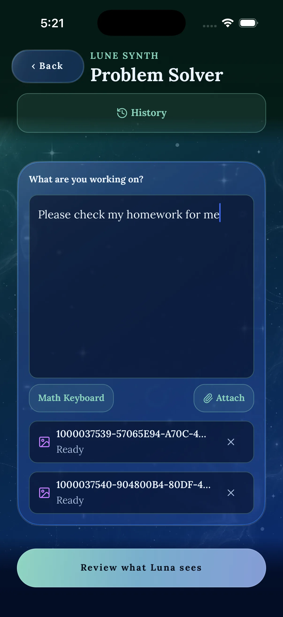 Problem Solver input screen for adding a question or assignment